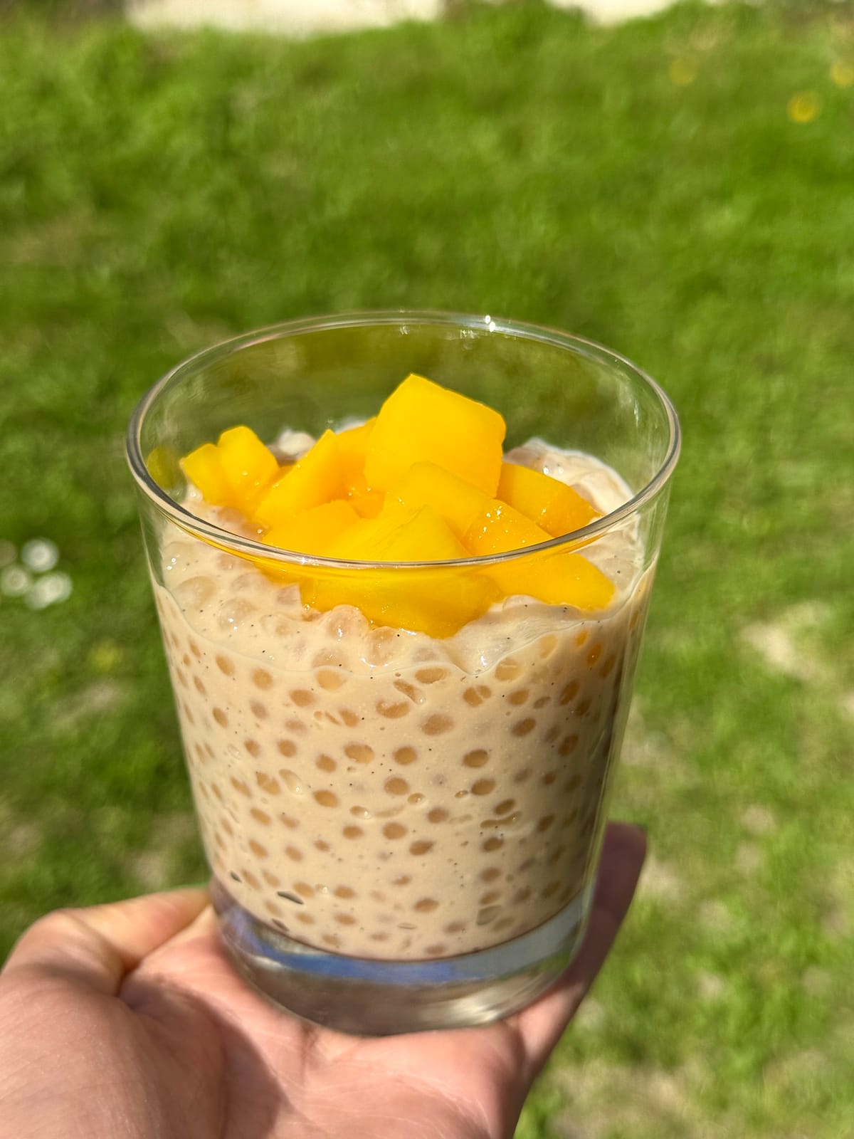 Perles du Japon · Mangue